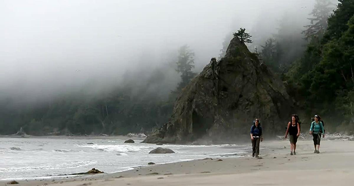 Oregon Field Guide | Backpacking the Olympic Coast | Season 24 ...