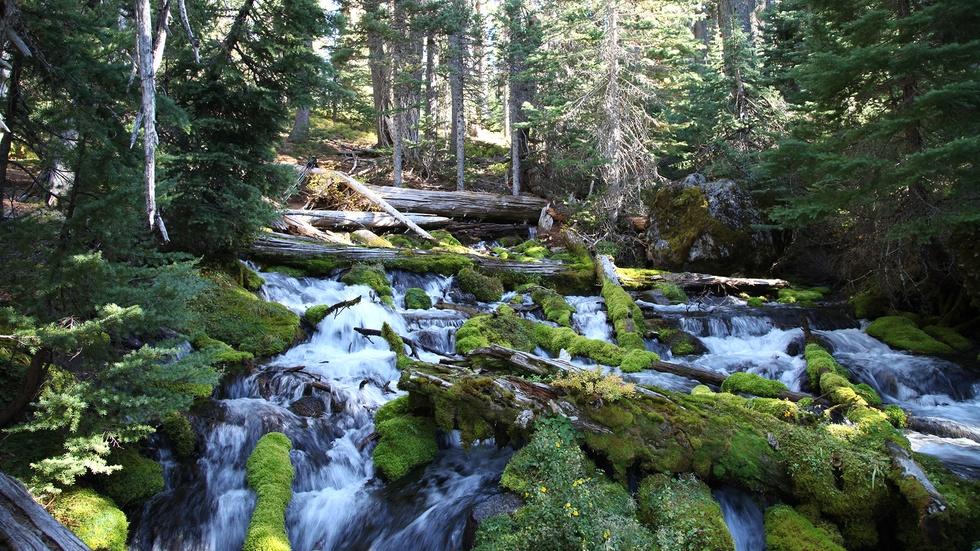 River of the Rogues image
