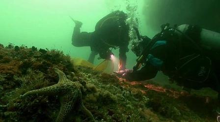 Video thumbnail: Oregon Field Guide Diving for Science; Hanami
