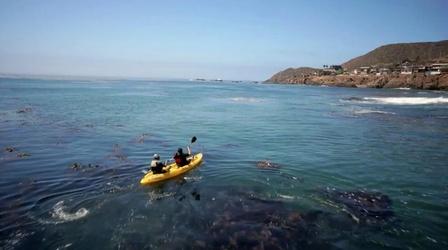 Video thumbnail: Crossing South Kayaks and Kumiai
