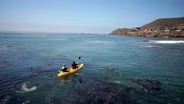 Kayaks and Kumiai