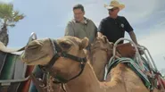 Camels, Jetpacks, and Laja