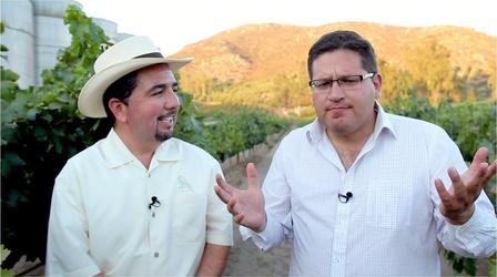 Video thumbnail: Crossing South Valle De Guadalupe Wine Country
