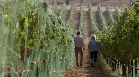 Video thumbnail: A Growing Passion From Vine to Wine