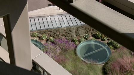 Video thumbnail: A Growing Passion Green Roofs
