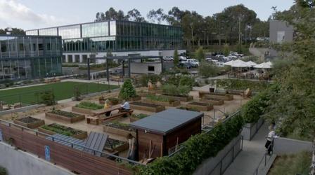 Video thumbnail: A Growing Passion New Models of Farming