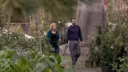 Big Trees: Giants Among Us
