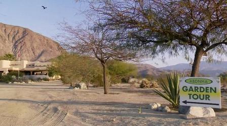 Video thumbnail: A Growing Passion Garden Tours & Garden Shows: Finding Garden Inspiration