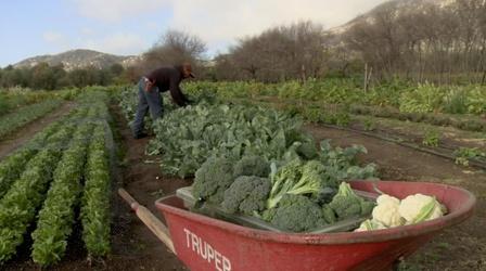 Video thumbnail: A Growing Passion Preserve the Harvest