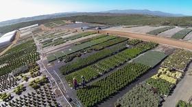 Video thumbnail: A Growing Passion Coming to a Nursery Near You