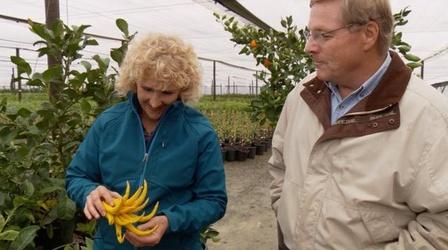 Video thumbnail: A Growing Passion Citrus: California's Second Gold Rush