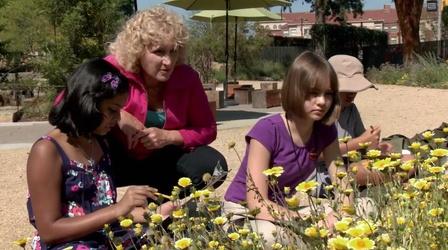 Video thumbnail: A Growing Passion Beneficial Insects