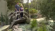After the Lawn is Gone - Waterwise Gardens