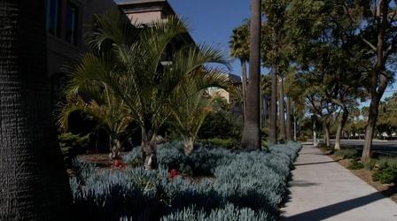 Video thumbnail: A Growing Passion Waterwise & Wonderful