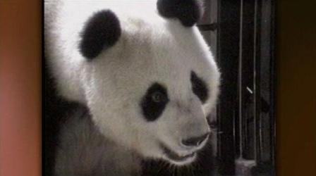 Video thumbnail: Ken Kramer's About San Diego Episode 42 - October 20, 2011