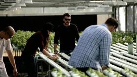 Video thumbnail: Savor San Diego Archi's Acres: Helping Veterans Grow