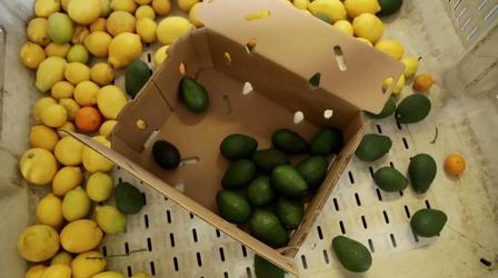 Video thumbnail: Savor San Diego Green Goddess Goes to Market