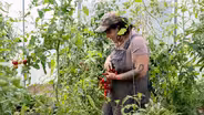 Latinx land steward: Farming is a way to heal and connect