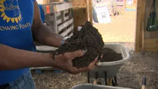 Why Soil Matters