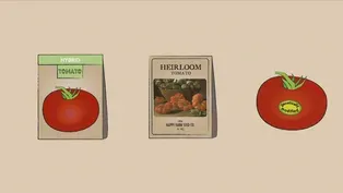 What is an heirloom tomato, anyway?