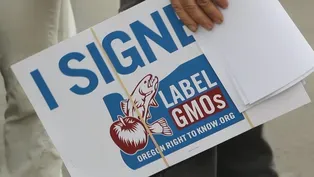 On GMO Labeling, Oregon and Colorado Learn from CA Defeat