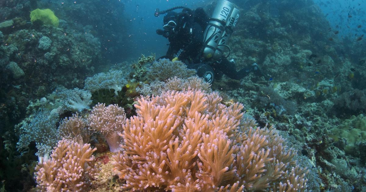 QUEST Diving Into the Twilight Zone PBS