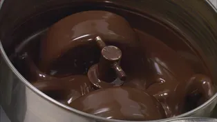 The Sweet Science of Chocolate