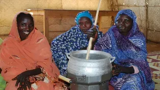 Darfur Stoves Project