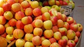Video thumbnail: QUEST QUEST:From Farm to Fork to Fuel