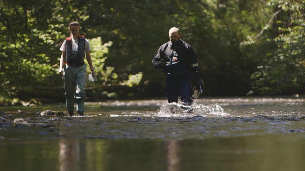 A River Returns image