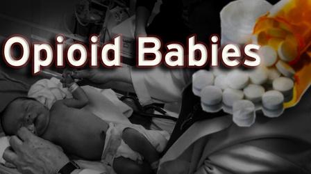 Video thumbnail: Insight with John Ferrugia Insight with John Ferrugia: Opioid Babies / Marijuana moms