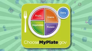 My Plate Food Groups