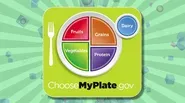My Plate Food Groups