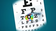 VISION: The Quest to See Clearly