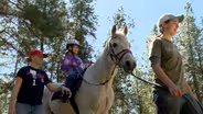 Theraputic Riding