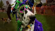 Fido's Idaho