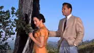 Love Is a Many-Splendored Thing WEB EXTRA