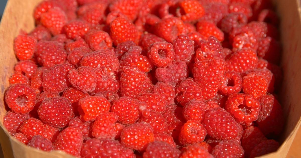 Washington Grown | Red Raspberries JAN 16 7PM | PBS