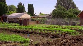 Video thumbnail: Immense Possibilities Closing the Loop: Making Soil from Waste