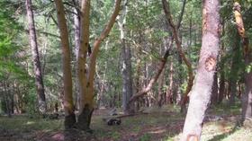 Video thumbnail: Immense Possibilities Land Trusts: Protecting Resources