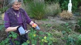 Video thumbnail: Immense Possibilities Helping Elders Stay in Their Homes
