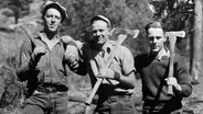 Oregon Finds: Logging's Living Past