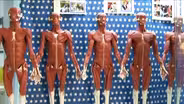 Anatomy with Clay