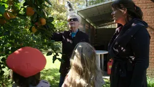 Preview: Persimmon Style