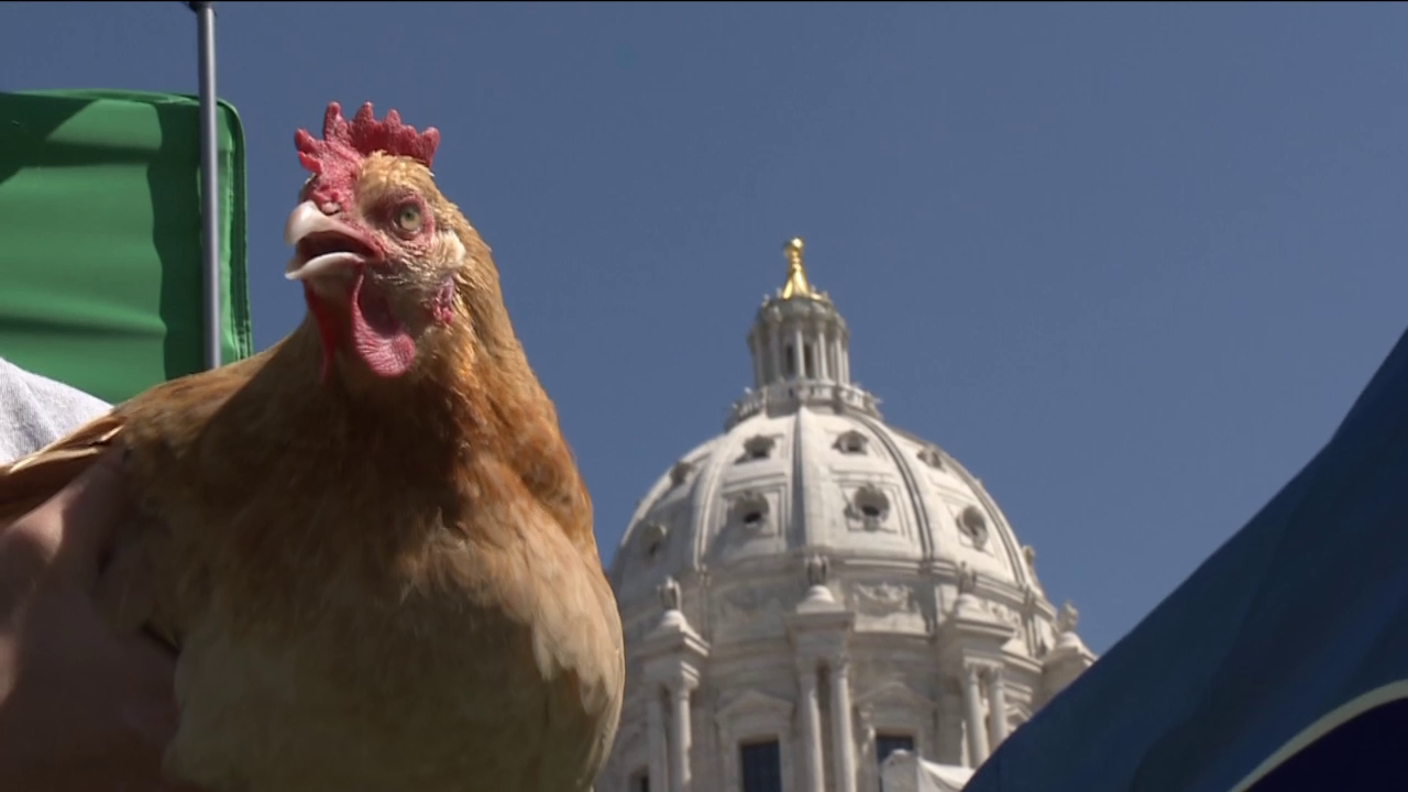 Agriculture issues at the Capitol