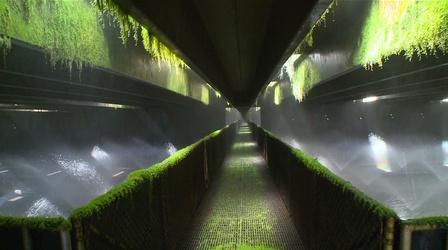 Video thumbnail: Almanac: At the Capitol Projects looking for bonding; water quality issues