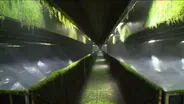Projects looking for bonding; water quality issues