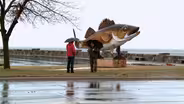 Rep. Tim Walz, Mille Lacs walleye, ADA anniversary