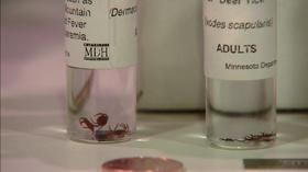 Video thumbnail: Almanac Changing Understanding of Lyme Disease