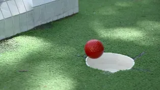 Walker On The Green  Artist-Designed Mini Golf